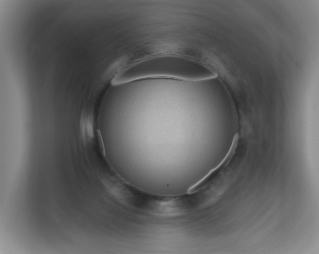 X0000111160068200907071137