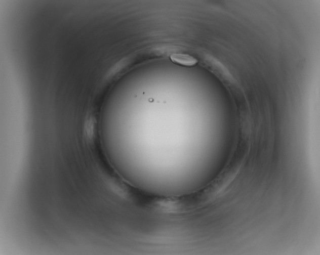 X0000111160071200907071137