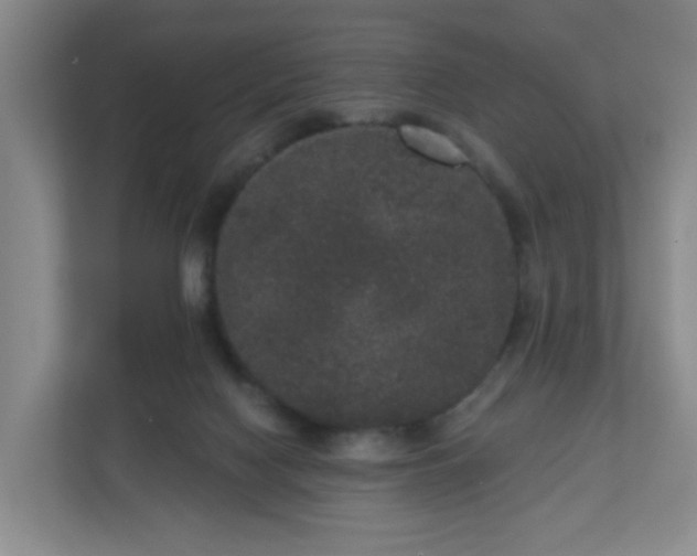 X0000111160074200907071137
