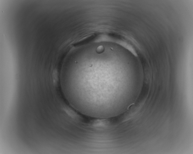 X0000111160077200907071137