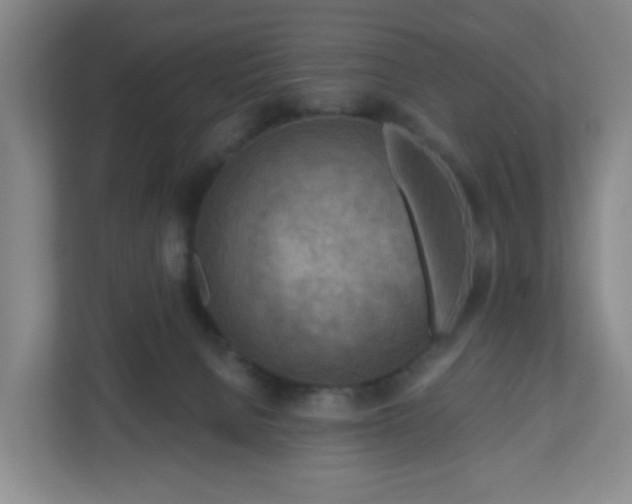 X0000111160080200907071137