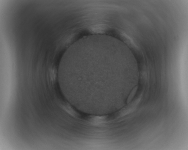 X0000111160081200907071137