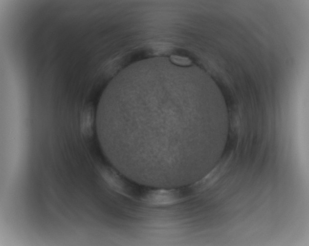 X0000111160082200907071137