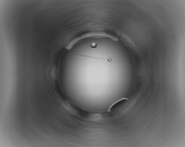 X0000111160083200907071137