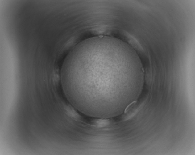 X0000111160085200907071137