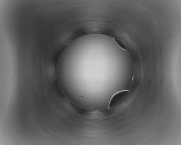 X0000111160087200907071137