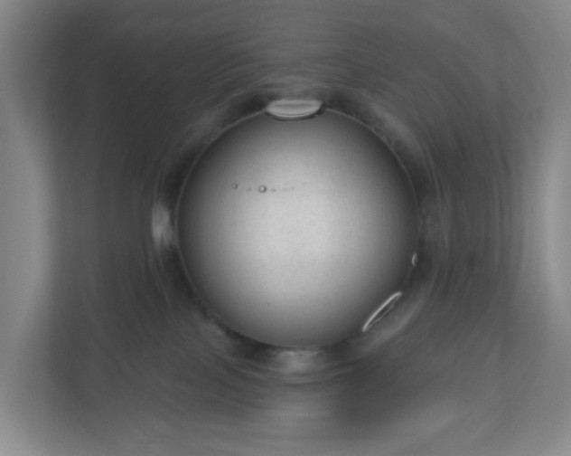 X0000111160089200907071137