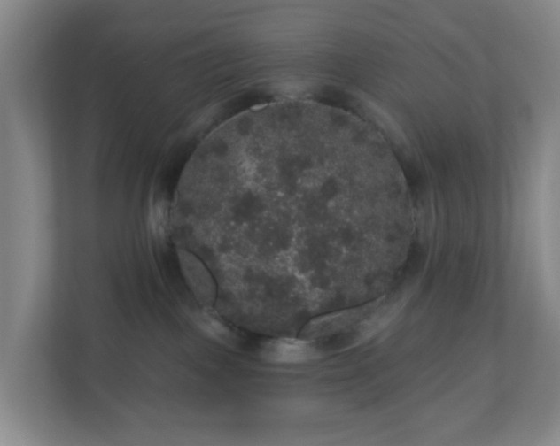 X0000111160093200907071137