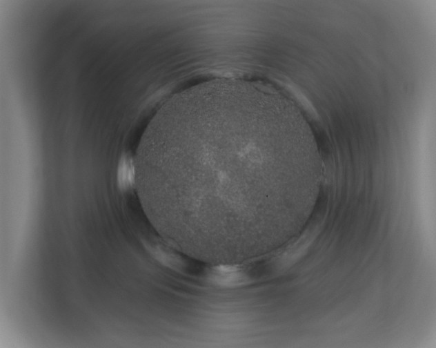 X0000111160095200907071137