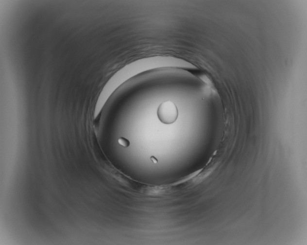 X0000111160096200907071137