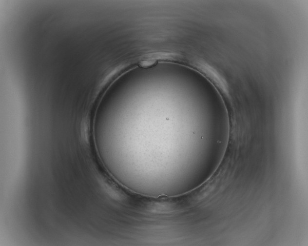 X0000111160107200907071137