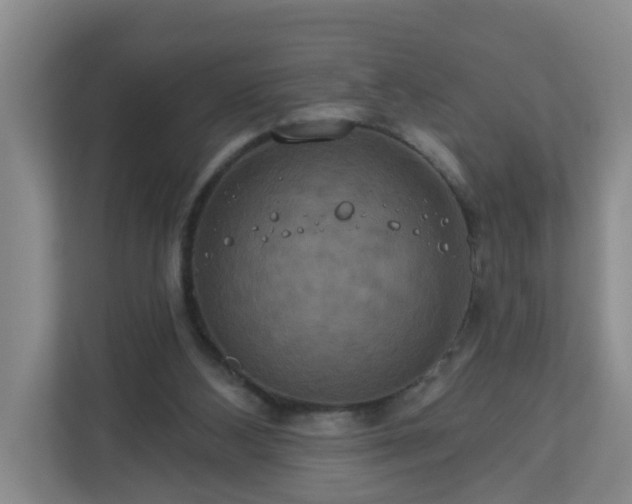 X0000111160108200907071137