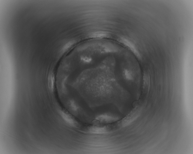 X0000111160110200907071137