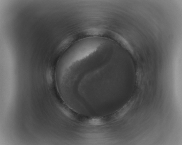 X0000111160114200907071137