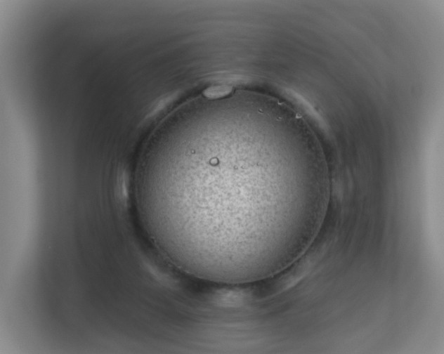 X0000111160115200907071137