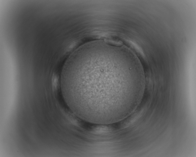 X0000111160123200907071136
