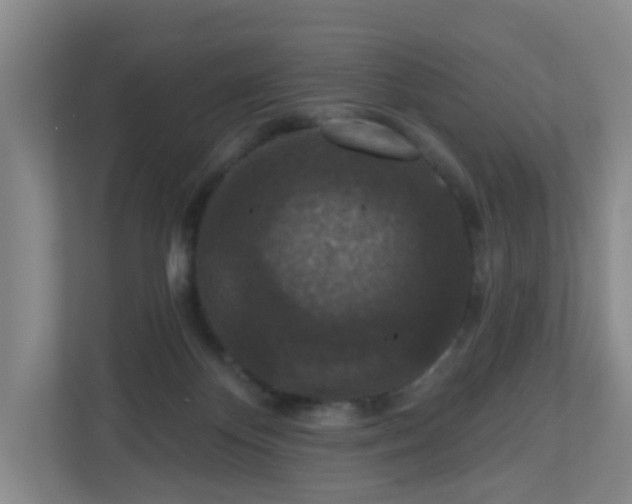 X0000111160124200907071136