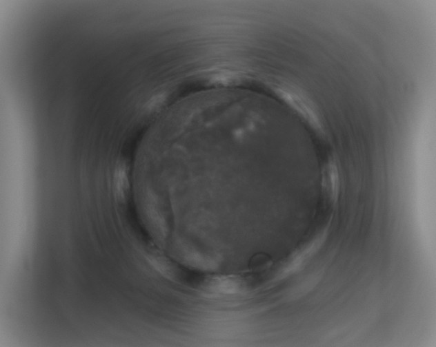 X0000111160127200907071136
