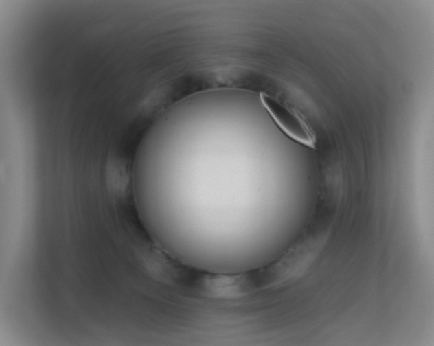 X0000111160129200907071136