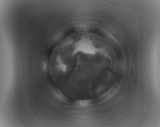 X0000111160134200907071136