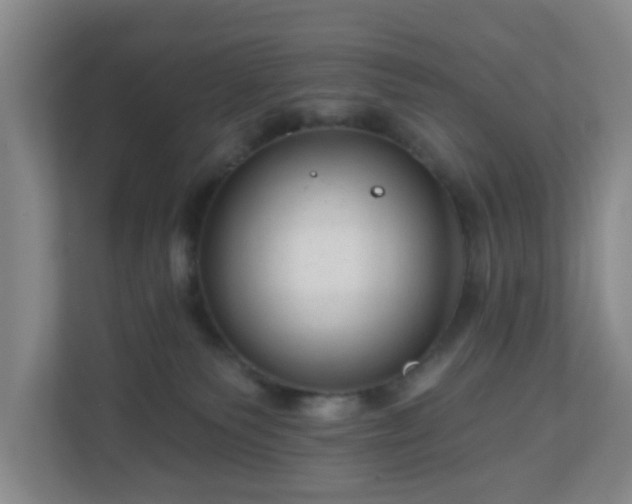 X0000111160135200907071136