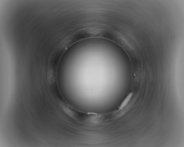 X0000111160136200907071136