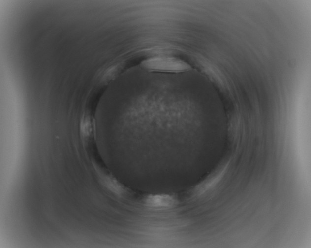 X0000111160137200907071136