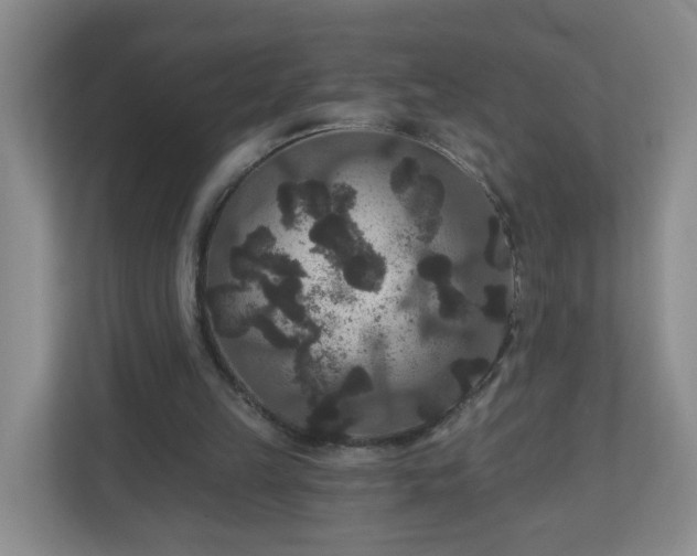 X0000111160149200907071136