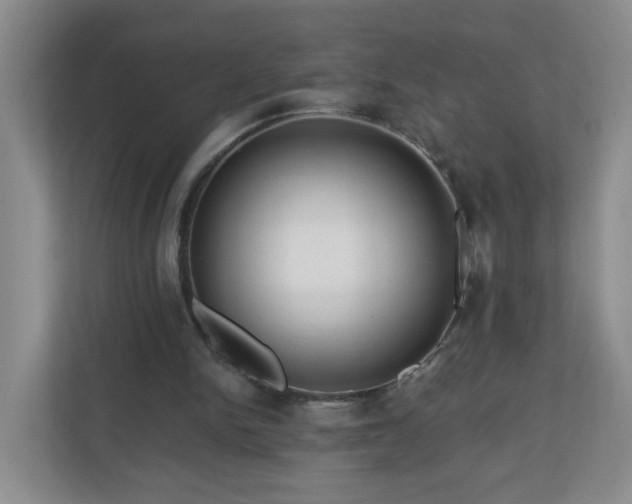 X0000111160150200907071136