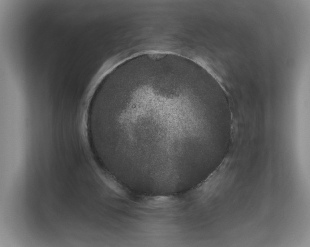 X0000111160151200907071136