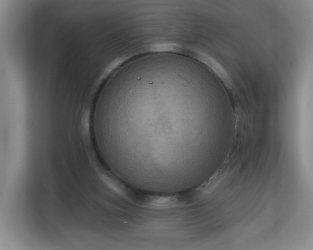 X0000111160155200907071136