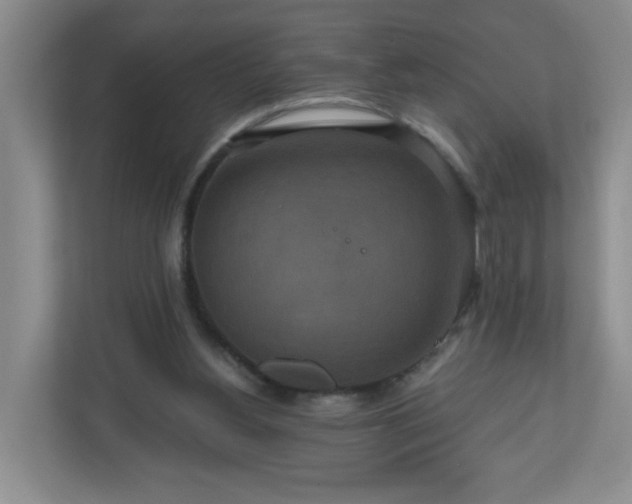 X0000111160156200907071136