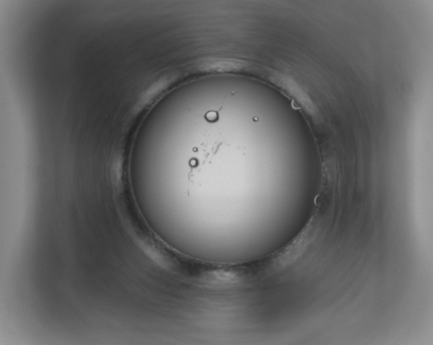 X0000111160159200907071136