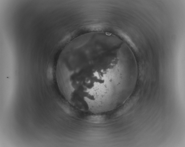 X0000111160161200907071136