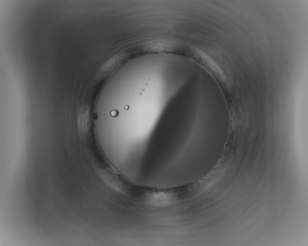 X0000111160163200907071136