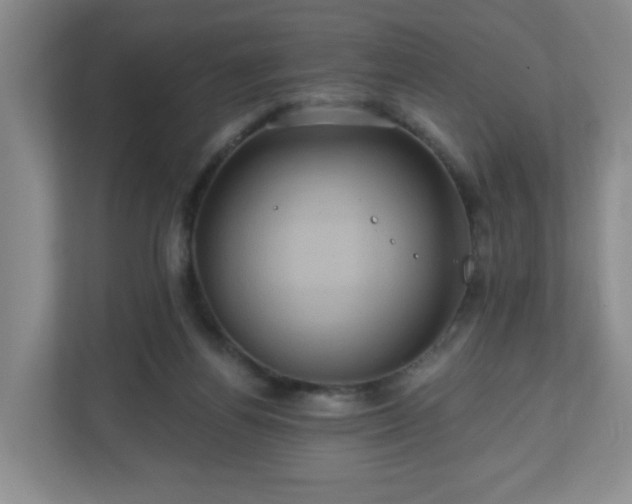 X0000111160164200907071136