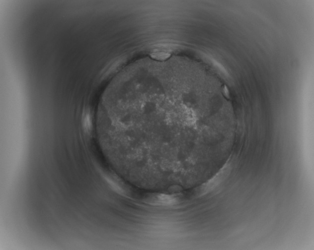 X0000111160166200907071136