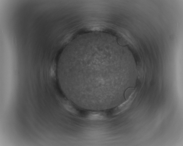 X0000111160175200907071136