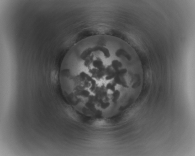 X0000111160177200907071136