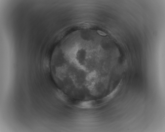 X0000111160178200907071136