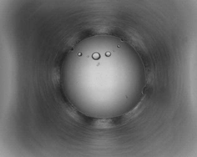 X0000111160179200907071136
