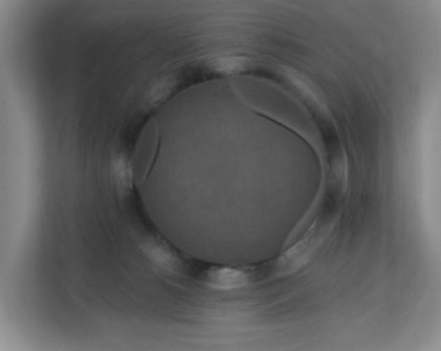 X0000111160180200907071136