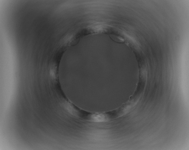 X0000111160181200907071136
