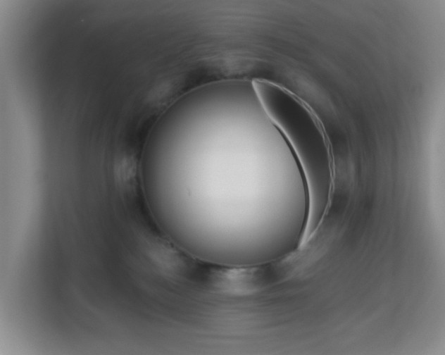 X0000111160184200907071136
