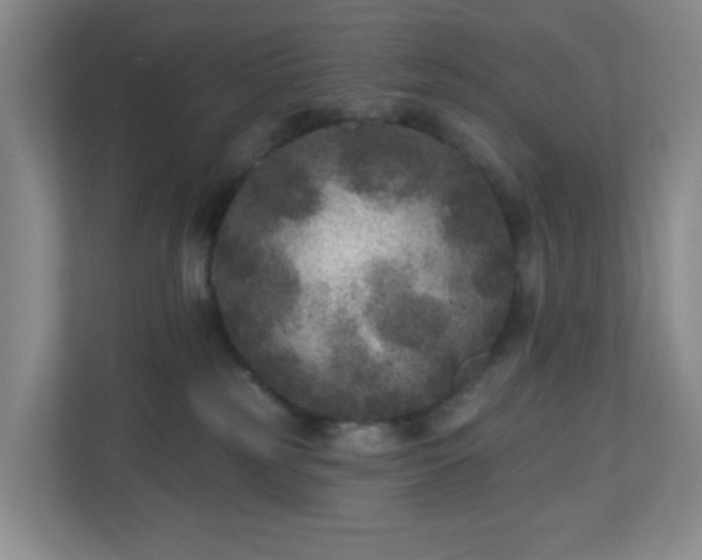 X0000111160185200907071136