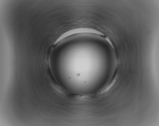 X0000111160186200907071136