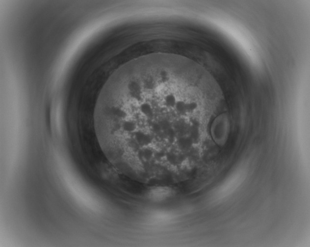 X0000111160189200907071136