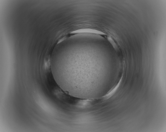 X0000111160190200907071136