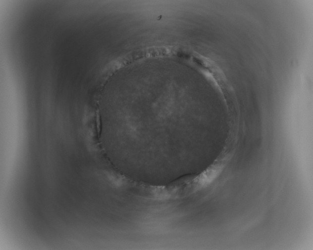 X0000111160192200907071136