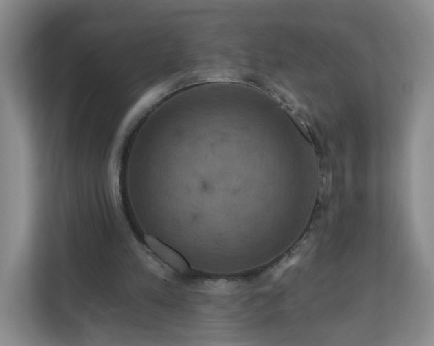 X0000111160197200907071135